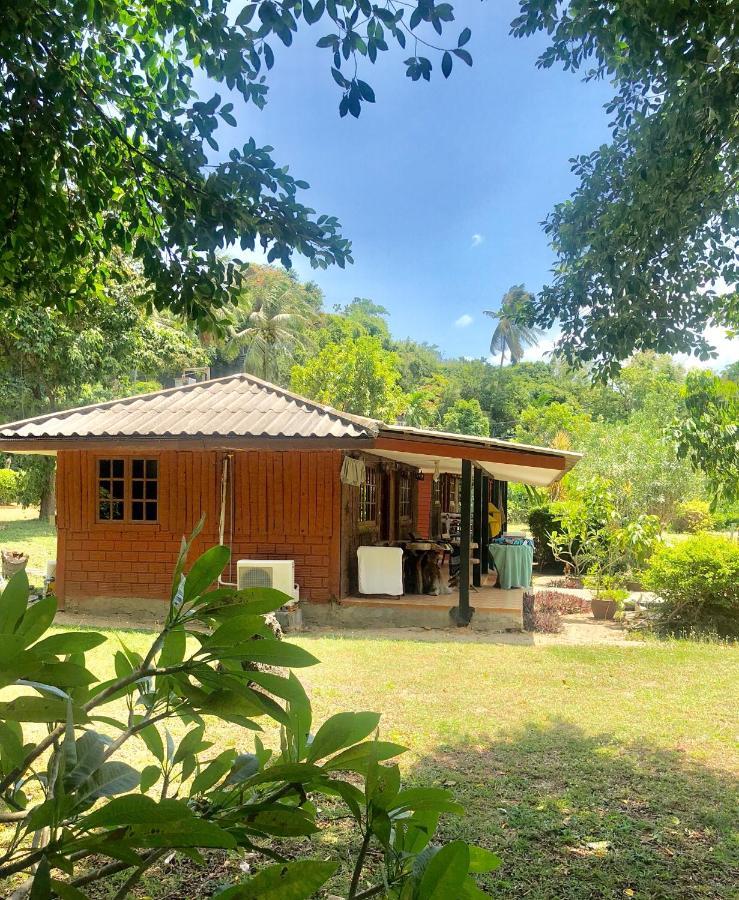 Lamai Chalet Amphoe Koksamui المظهر الخارجي الصورة