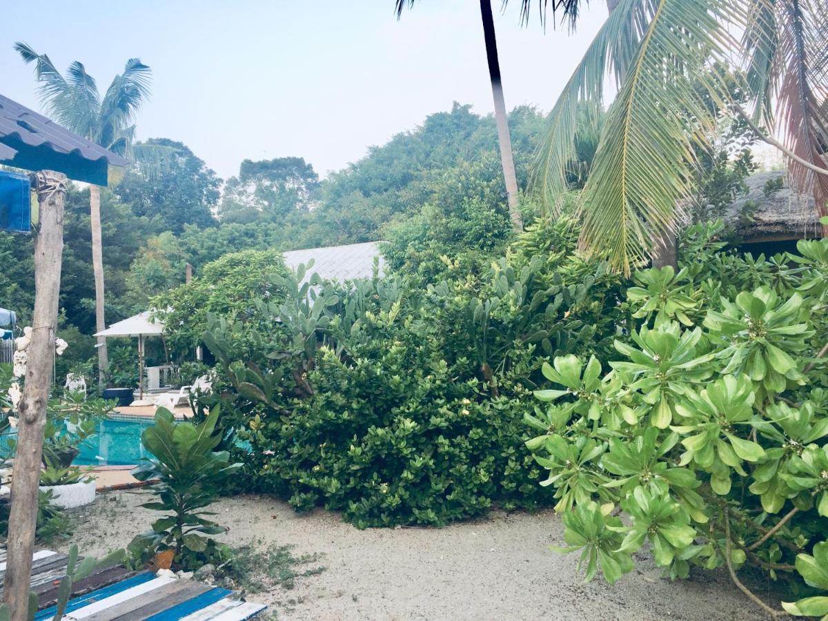 Lamai Chalet Amphoe Koksamui المظهر الخارجي الصورة